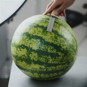 البطيخ الحلو هو الخيار الأمثل لصيف منعش. تعرّف على طرق اختيار البطيخ الأحمر والناضج بسهولة مع أبرز الحيل العملية.